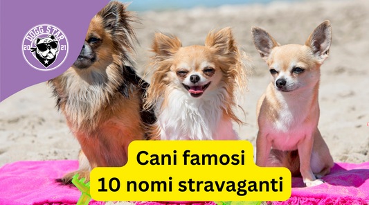 cani dei vip