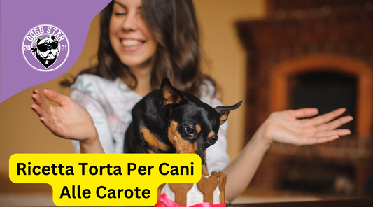 La ricetta di torta per cani più facile al mondo. Solo 3 ingredienti. Torta per cani ricetta veloce Dogg Star