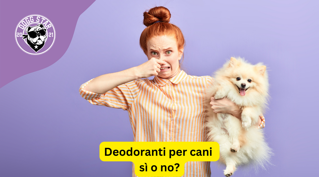 Deodoranti per Cani: Una Moda Passeggera o un Utile Strumento? Quali Usare, Come e Quando.Guida pratica 2023