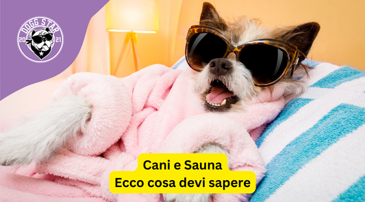 I cani possono fare la sauna? Scoprilo qui