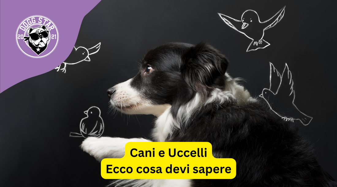 Cani e Uccelli Domestici: Possono Essere Amici?