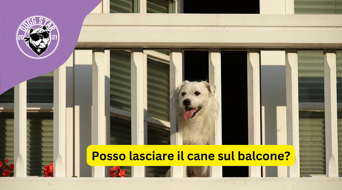 Devo uscire di casa: Posso lasciare il cane sul balcone?