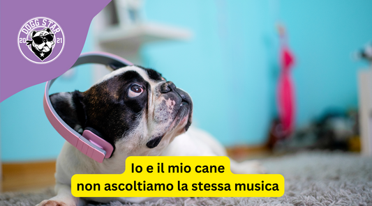 Io e il Mio Cane: Gusti Musicali Opposti, ma un Legame Unico