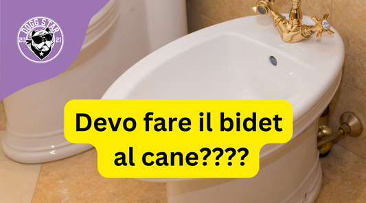 Bidet per Cani: Necessario o Superfluo?