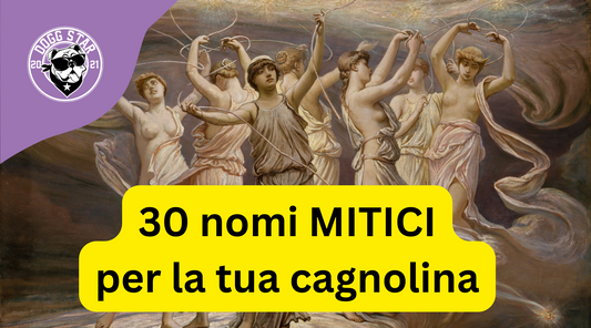 Nomi Femminili Divinità a Quattro Zampe: 30 Nomi Mitologici per la Tua Cagnolina