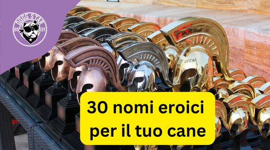 Eroi Canini: 30 Nomi Maschili Ispirati alla Mitologia e alla Storia  classica  greco-romana