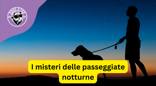 Cani e Passeggiate Notturne: Il Mistero Oscuro dei Quattro Zampe!