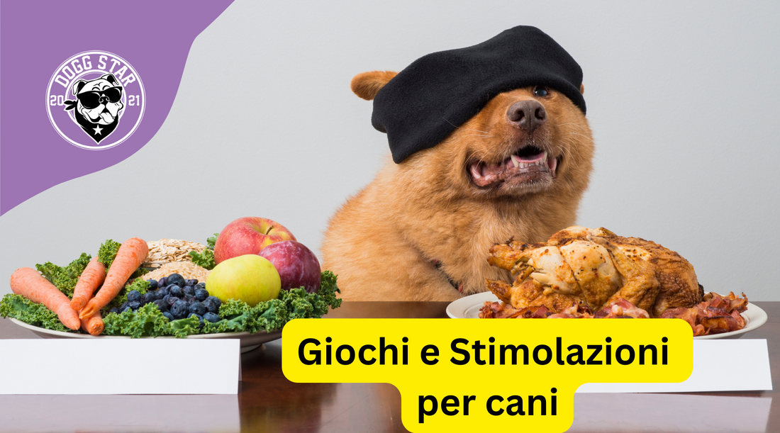 Giochi interattivi per cani: Stimola la mente e il corpo del tuo amico peloso (aggiornamento 2023)