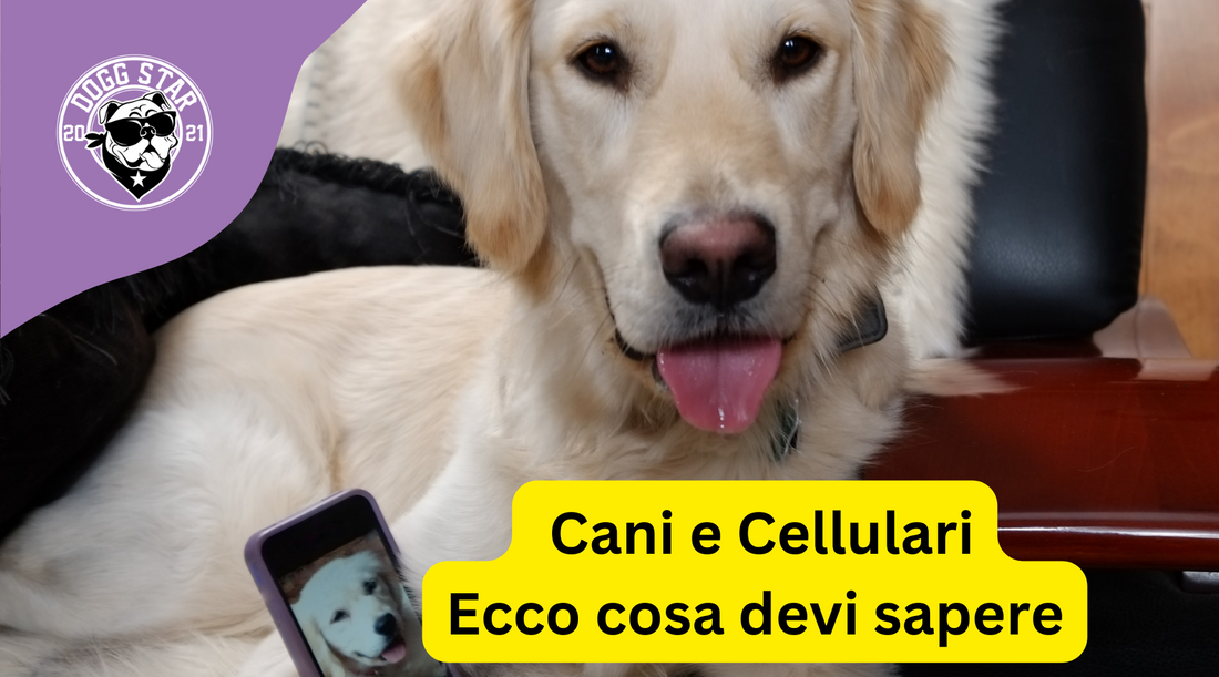 Cani e telefoni cellulari: precauzioni utili   tra il serio e il meno serio per evitare guai (e messaggi imbarazzanti!)...