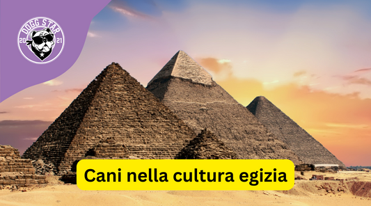 Cani nella Cultura Egizia: Dei Protettori, Simboli di Lealtà e Compagni Spirituali