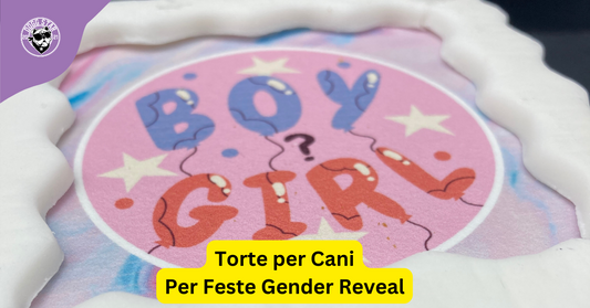 Torte per Cani Gender Reveal