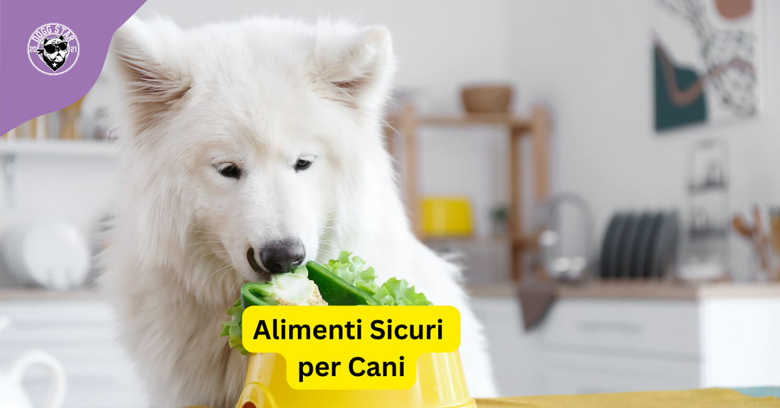 Alimenti Sicuri per Cani: Guida Essenziale per la Salute del Tuo Amico a Quattro Zampe