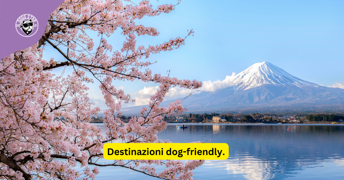 Destinazioni dog-friendly.