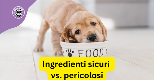 Ingredienti sicuri vs. pericolosi nelle torte per cani: guida definitiva per proprietari responsabili