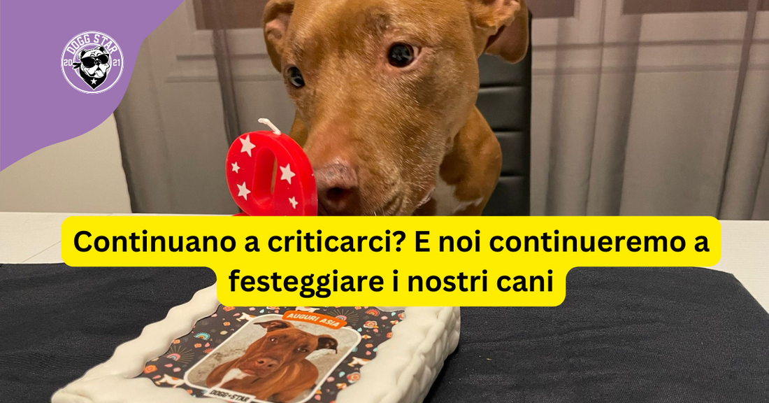 Continuano a criticarci? E noi continueremo a festeggiare i nostri cani