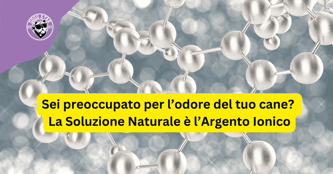 Sei preoccupato per l’odore del tuo cane? La Soluzione Naturale è l’Argento Ionico