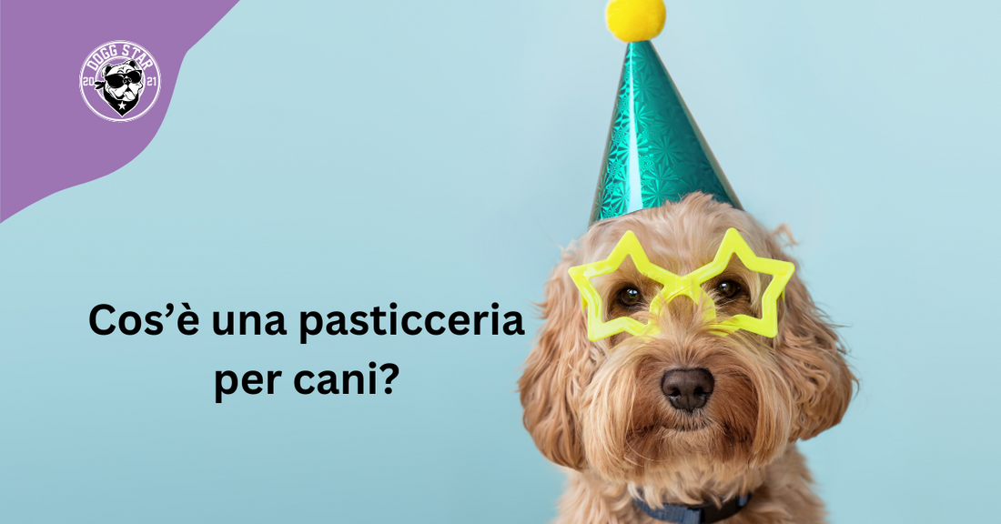 Cos'è una pasticceria per cani: esploriamo assieme il mondo delle torte a quattro zampe