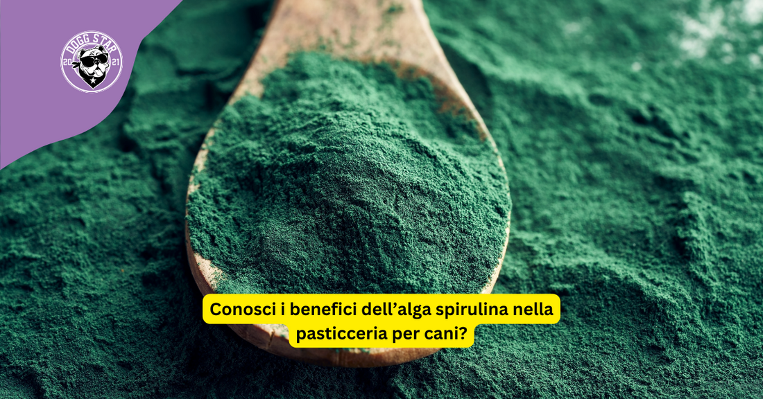 I vantaggi dell'alga spirulina negli snack per cani: una fonte di nutrizione completa