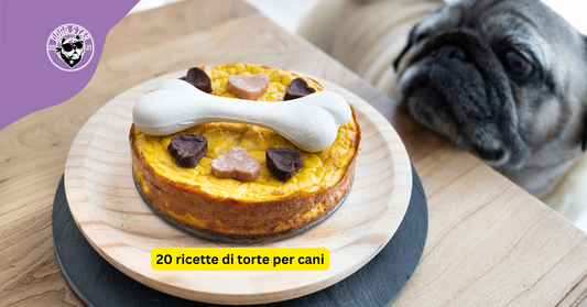 Torte per Cani | oltre 20 Ricette Facili e Gustose