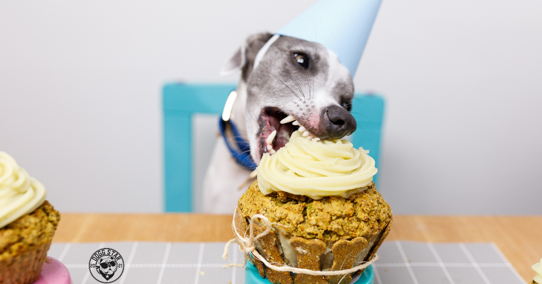 Dolcetti per Cani Fatti in Casa: 3 Ricette Semplici e Golose per il Tuo Amico a Quattro Zampe