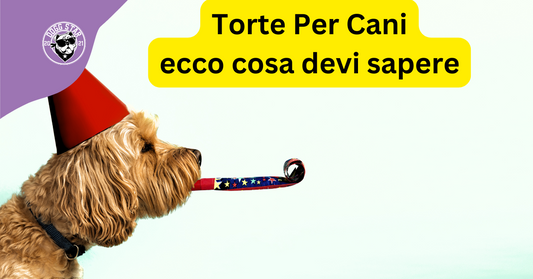 Torte Per Cani. Ecco cosa devi sapere nel 2025