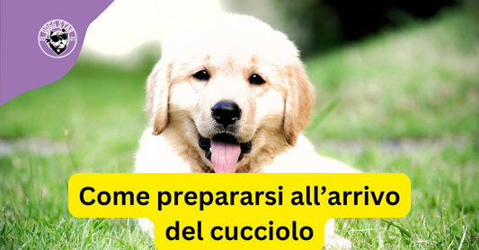 Cosa Fare Prima dell'Arrivo del Cucciolo  (tempo di lettura 2 minuti senza fronzoli né pubblicità)