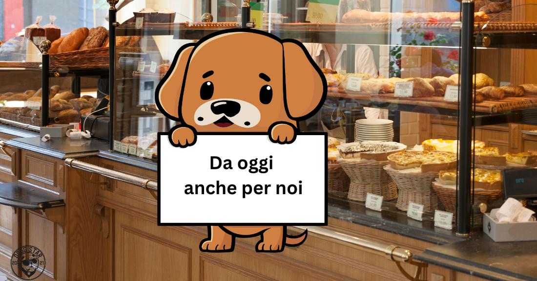 La dolce rivoluzione: Pasticceria per animali domestici.