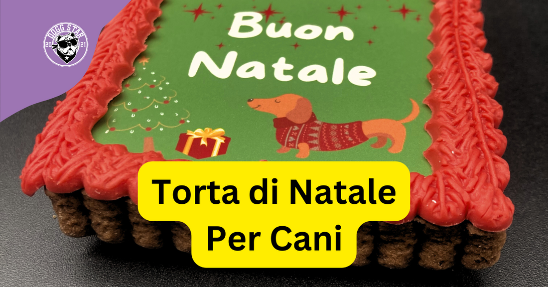 Torta di Natale al Gusto Carrube per Cani: Un Dolce Regalo per il Tuo Amico a Quattro Zampe