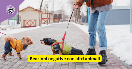 Reazioni negative con altri animali: La Paura dell'Impronta Sociale Canina