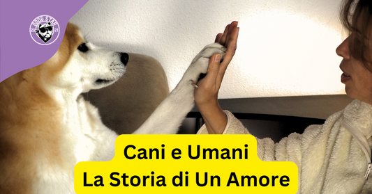 La Storia del Cane come Migliore Amico dell’Uomo  (tempo di lettura 5 minuti senza fronzoli né pubblicità)