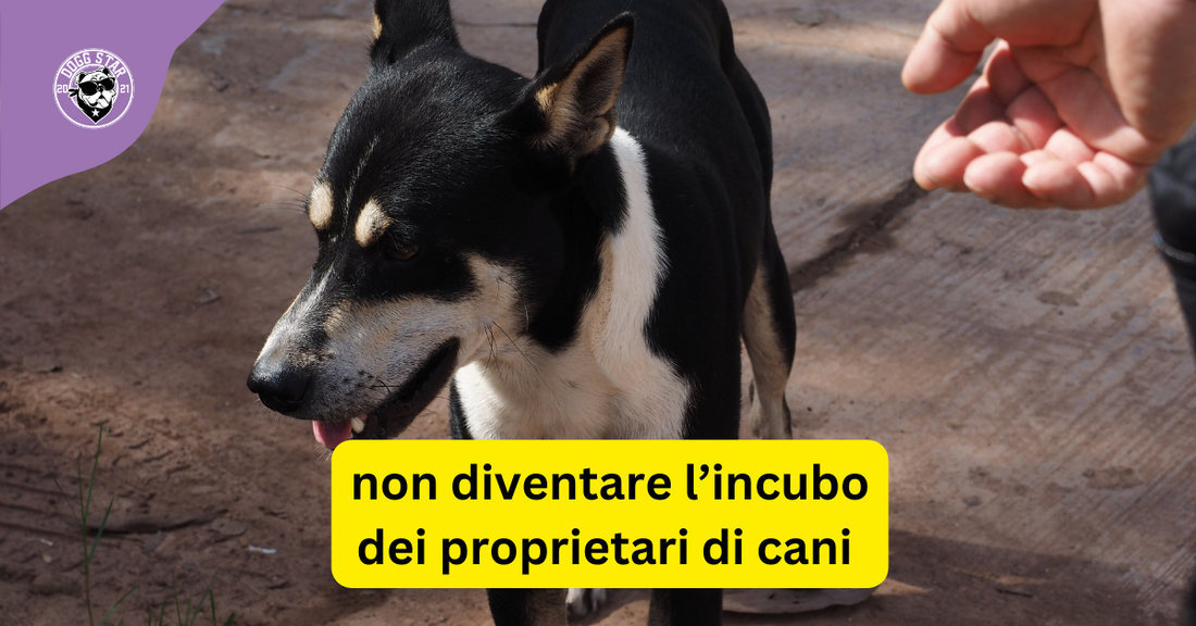 Come Interagire con i Cani Senza Diventare l'Incubo del Proprietario: Una Guida Ironica