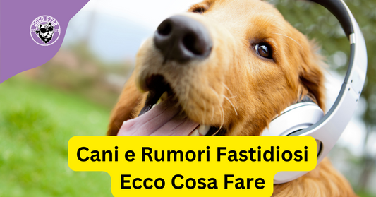 Il Rumore e i Cani: Perché i Suoni Fastidiosi Possono Essere Dannosi