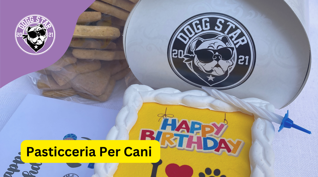 Pasticceria per Cani: Una Dolce Evoluzione dall'Antichità a Oggi