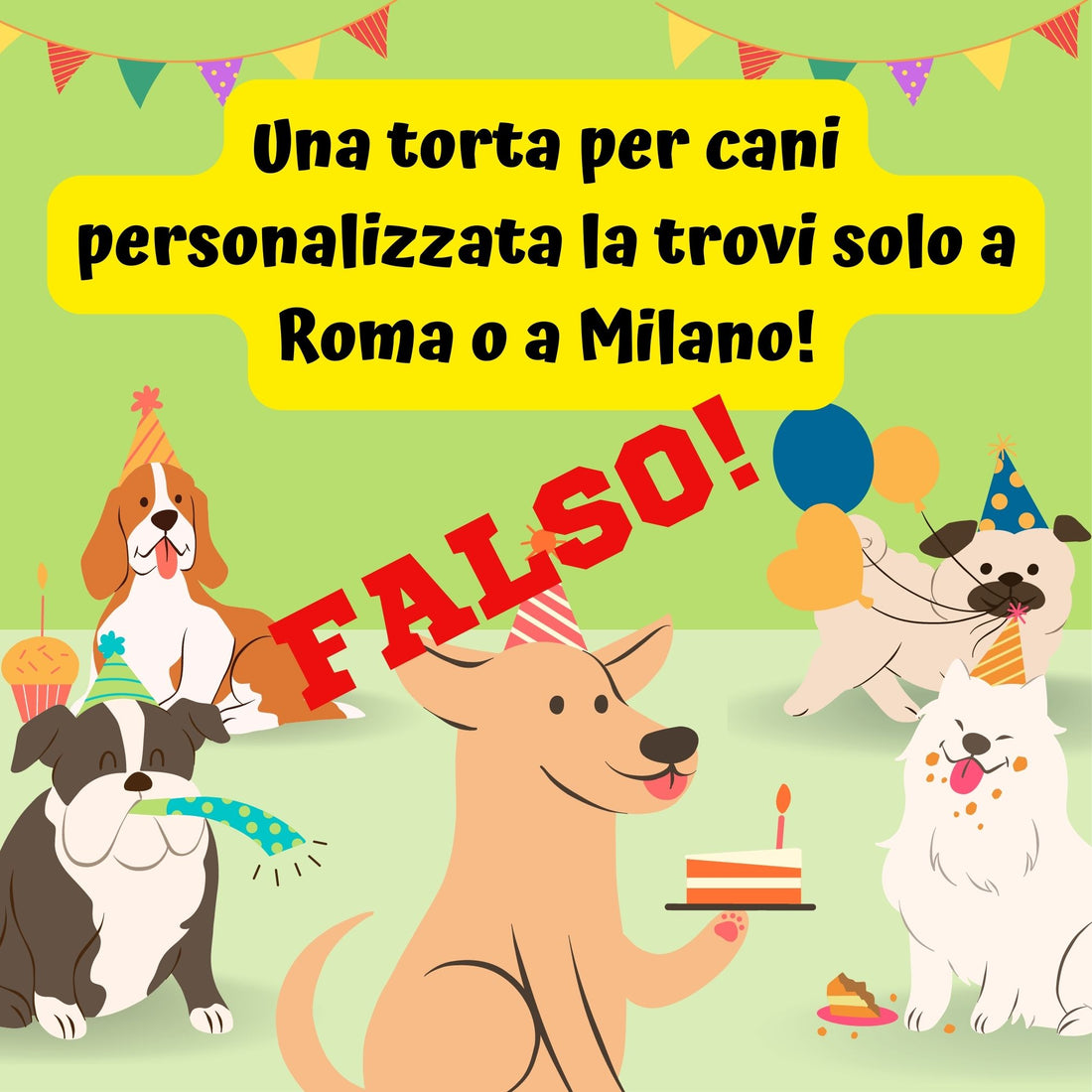 Una torta per cani personalizzata la trovi solo a Roma o a Milano! FALSO