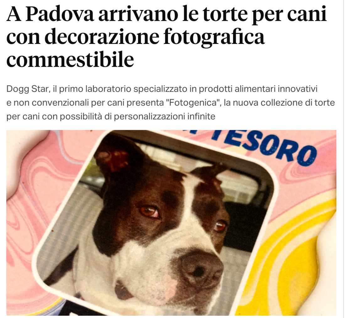 A Padova arrivano le torte per cani con decorazione fotografica commestibile
