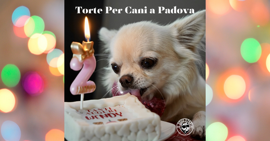 Torte Per Cani a Padova