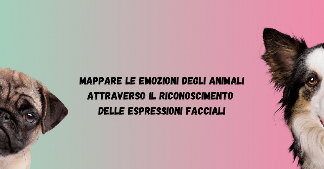 Cosa pensa il tuo cane? Mappare le Emozioni degli Animali attraverso il Riconoscimento delle Espressioni Facciali