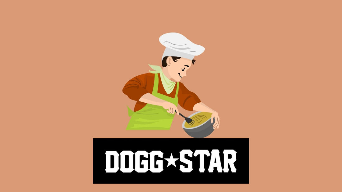 Ricette interessanti trovate in giro per il mondo. Torta per cani ricetta veloce Dogg Star / Olanda.