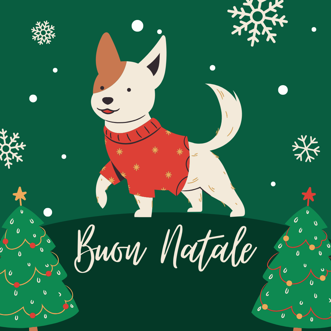 Torta di Natale per Cani Personalizzata