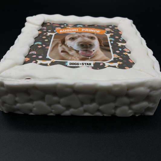 Torta di compleanno per cani con pan di Spagna artigianale