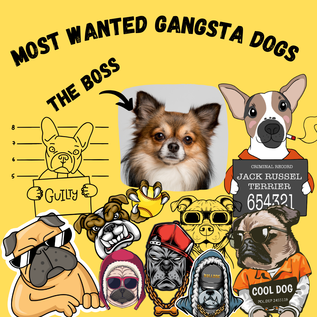 6 Adesivi Personalizzati  Gangsta | Senza spese di spedizione