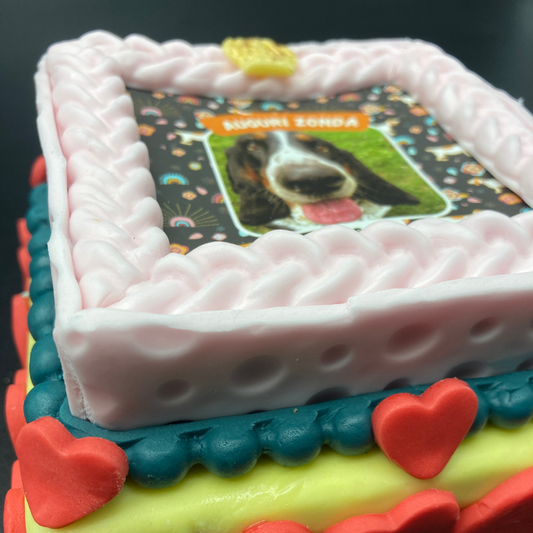 Incanto per Lei Personalizzabile CON FOTO, Torta Per Cani Superiore