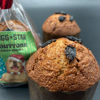 Bauttone il Panettone Per Cani