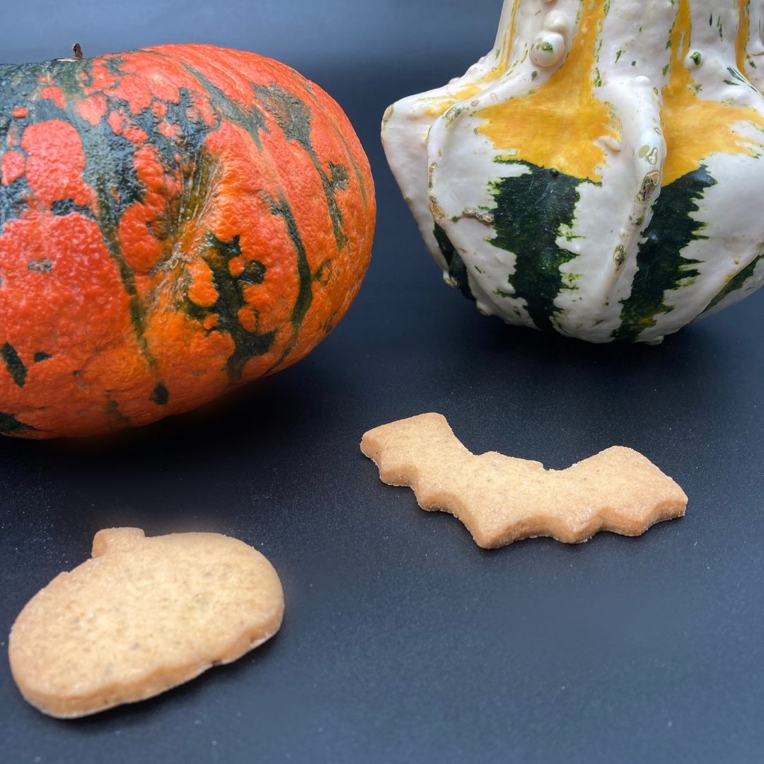 Biscotti Per Cani Halloween