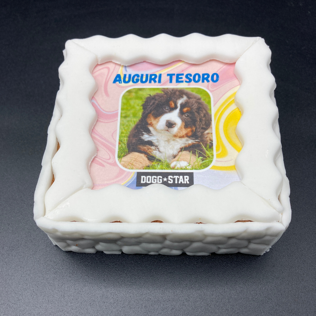 torta per cani con foto