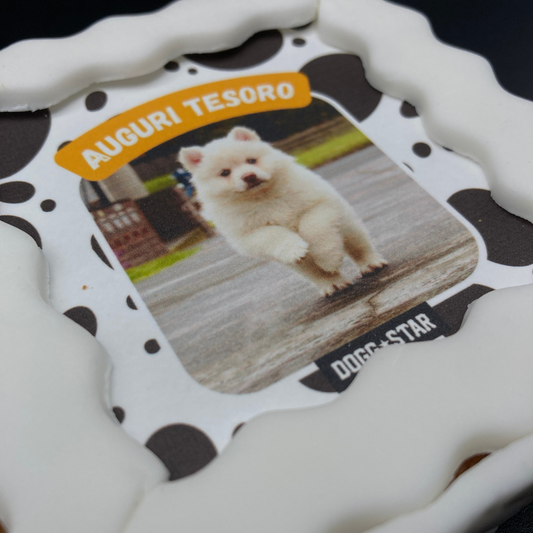 Gâteau photogénique pour 3 chiens