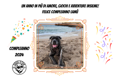 Biglietti di Compleanno Canini Personalizzabili