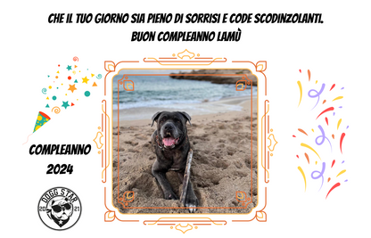 Biglietti di Compleanno Canini Personalizzabili