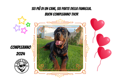 Biglietti di Compleanno Canini Personalizzabili